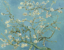 Load image into Gallery viewer, Almond Blossom - Atira&#39;s Southwest